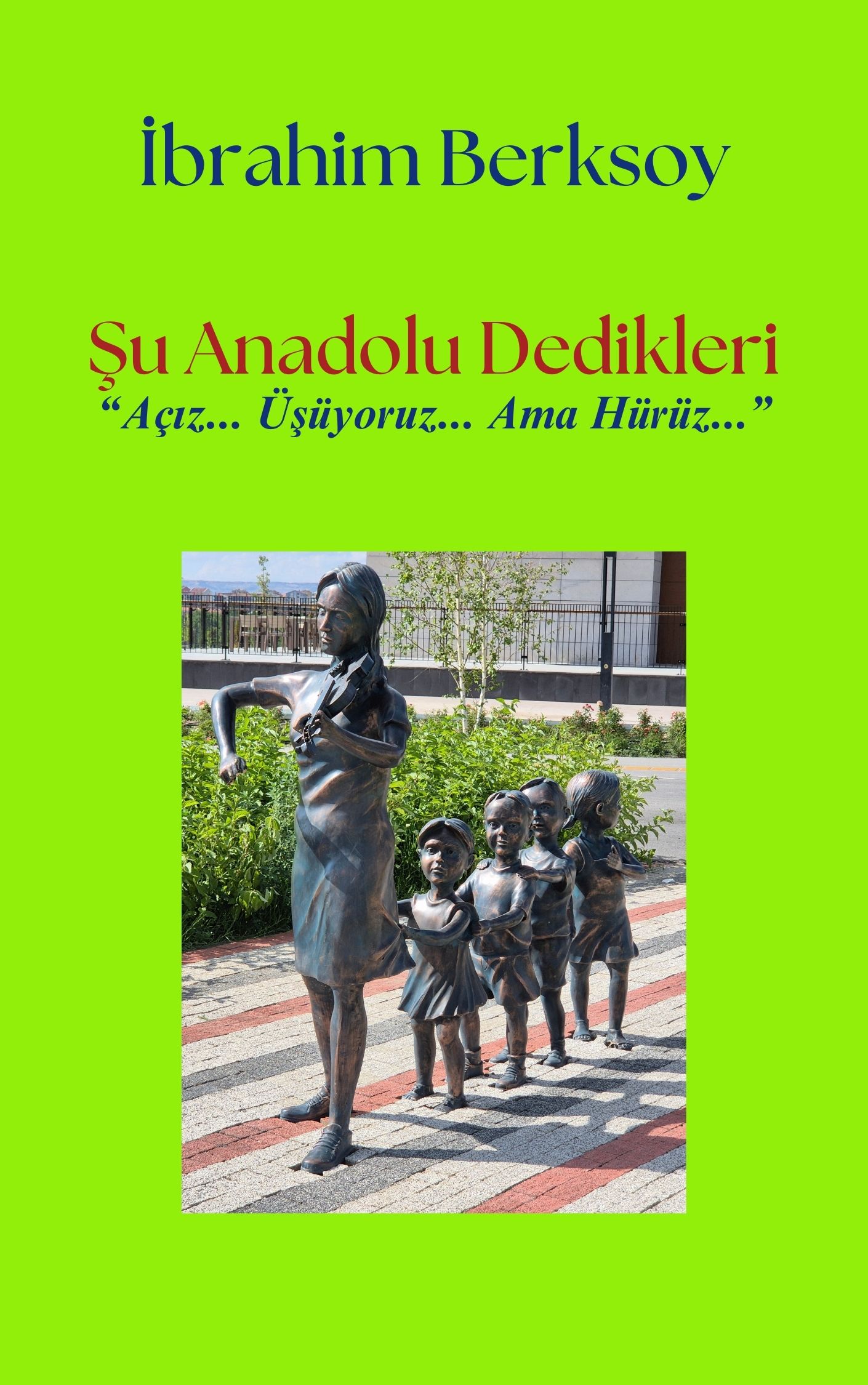 Şu Anadolu Dedikleri (e-kitap)